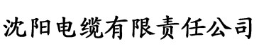 草莓视频污在线污电缆厂logo